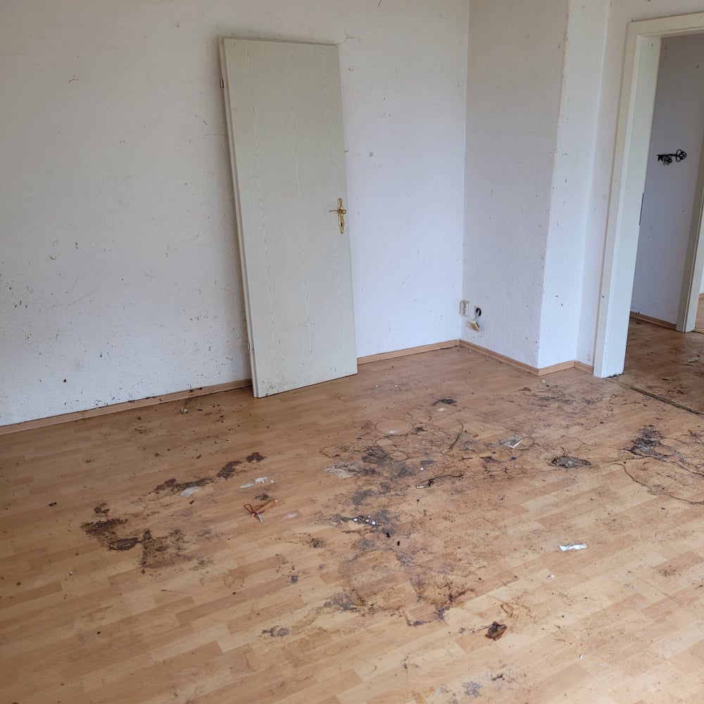 Flinke-Dienstleistung,de